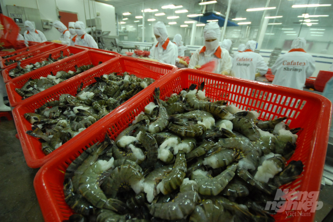 Shrimp industry has good opportunity for growth. Photo: Le Hoang Vu.