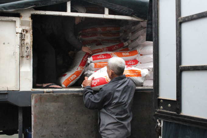 The increase in the price of input materials has caused the price of animal feed in Vietnam to rise sharply, putting pressure on the price of live pigs. Photo: MV.