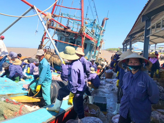 Fishermen unloading seafood at Binh Dai fishing port. Photo: Minh Dam.