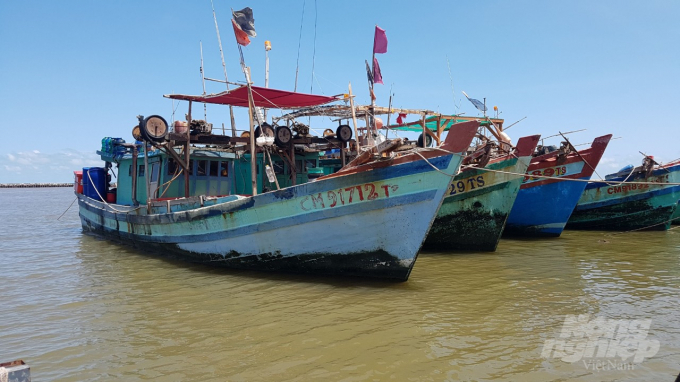 It is necessary to increase fine levels for fishing vessels violating foreign waters with an aim to preventing illegal fishing activities that violate foreign waters. Photo: Trong Linh.