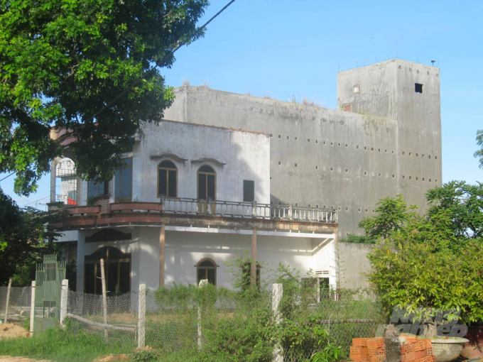 Many birds’ nest houses in Binh Dinh are styled as 'Birds’ nest above, houses below'. Photo: Vu Dinh Thung.