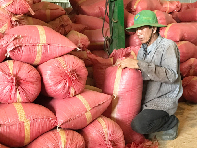 Each bag of coco peat is sold at VND 23,000, in a great demand for seedling and flowers planting. Photo: Minh Dam.