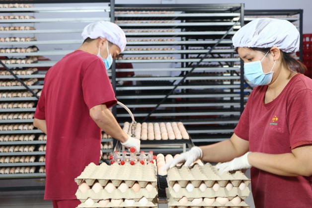 High-tech poultry hatching line of Bel Ga Photo: Bel Ga.