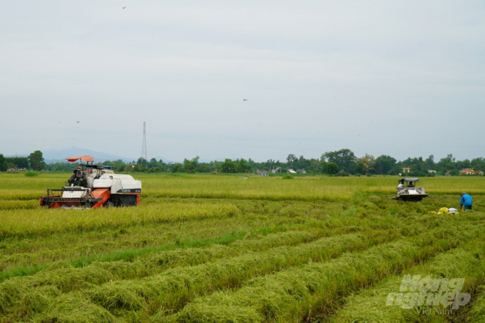 Trên cánh đồng thôn Bích Giang, xã Cam Hiếu, huyện Cam Lộ vẫn còn cả chục ha lúa chưa kịp thu hoạch. Để đưa kịp thu hoạch diện tích lúa trên trước khi bão đổ bộ, ngay từ chiều ngày 16/9 đến nay việc thu hoạch lúa ở đây được triển khai hết sức khẩn trương.