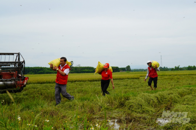 Ông Nguyễn Văn Trung, Chủ tịch Hội Chữ Thập Đỏ xã Cam Hiếu, huyện Cam Lộ cho biết: Để giúp người dân đẩy nhanh tiến độ thu hoạch diện tích lúa vụ Hè Thu còn lại trước khi bão đổ bộ, chúng tôi đã huy động toàn thể hội viên trên địa bàn ra đồng giúp nông dân. Cố gắng trong hôm nay và ngày mai toàn bộ diện tích của người dân trong xã sẽ thu hoạch xong.