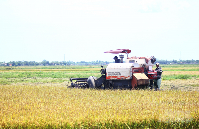 Ngày 17/9, trên nhiều cánh đồng, nông dân tỉnh Quảng Trị tất bật thuê người, thuê máy gặt lúa với phương châm 'xanh nhà hơn già đồng' trước khi bão số 5 đổ bộ vào đất liền.