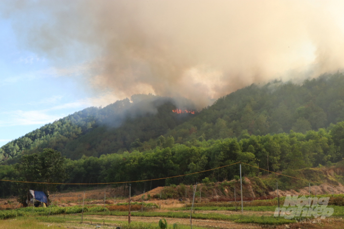 Hơn 42 hộ dân sinh sống gần các đám cháy được chính quyền địa phương di dời ngay trong ngày 28/6 đề phòng ngọn lửa cháy rừng xuống khu dân cư.  