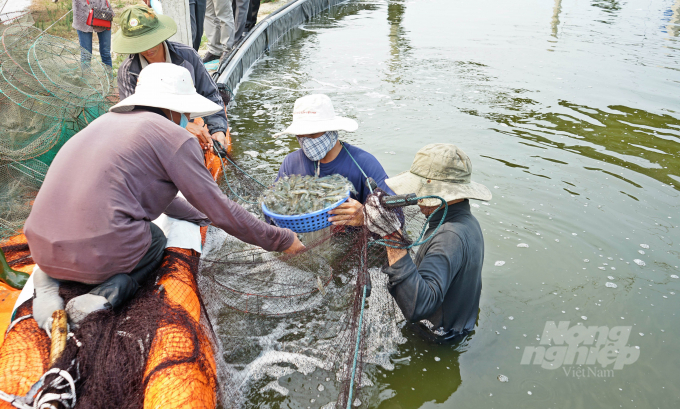 Đối với diện tích nuôi trồng thủy sản, đến nay cơ bản đã thu hoạch xong để tránh lũ, các lồng bè trên sông suối đã có phương án di dời khi có lũ.