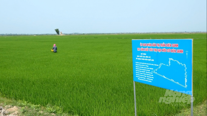 Mô hình sản xuất gạo sạch vùng Diên Sanh do UBND thị trấn Diên Sanh phối hợp với Sở Khoa học và Công nghệ Quảng Trị thực hiện. Ảnh: Tâm Phùng.