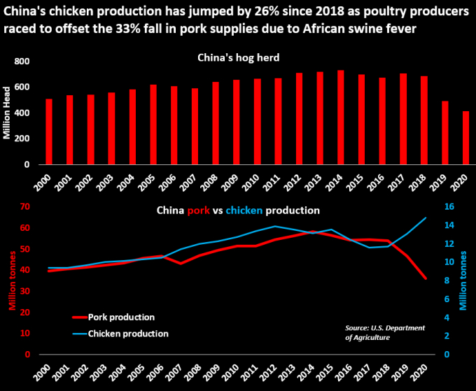 Biểu đồ dự báo quy mô chăn nuôi lợn (đỏ) và gà (xanh) tại Trung Quốc. Nguồn USDA