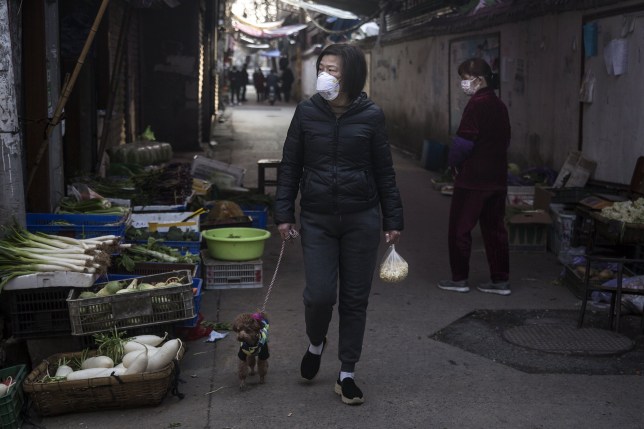 Một phụ nữ ở tâm dịch Vũ Hán dắt cún cưng đi chợ hôm 1/2/2020. Ảnh: Getty Images