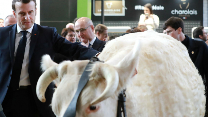 Tổng thống Emmanuel Macron tham quan Hội chợ Nông nghiệp Pháp lần thứ 57 hôm 22/2. Ảnh: AFP