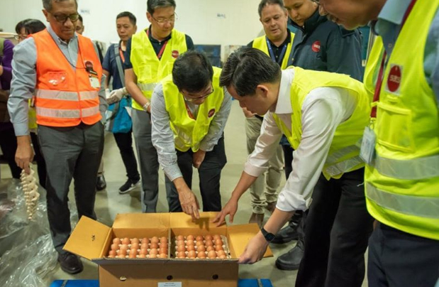 Lô trứng Thái Lan được chuyển đến Singapore ngay sau khi Malaysia đóng cửa biên giới. Ảnh: CNA