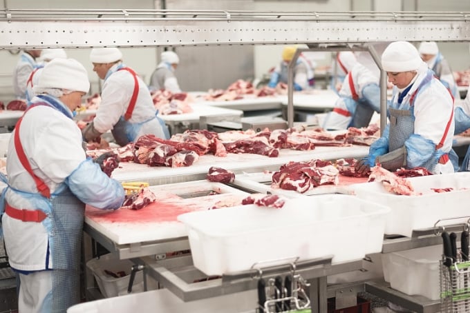 1.490 tấn thịt lợn từ Nga đã về Việt Nam. Ảnh: Miratorg
