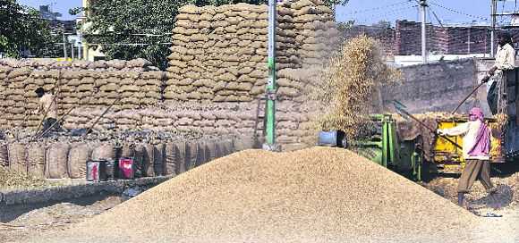 Các cơ sở thu mua, xay xát và chế biến lúa gạo ở vựa lúa Punjab đang gặp áp lực lớn vì thiếu nhân công. Ảnh: India Tribune