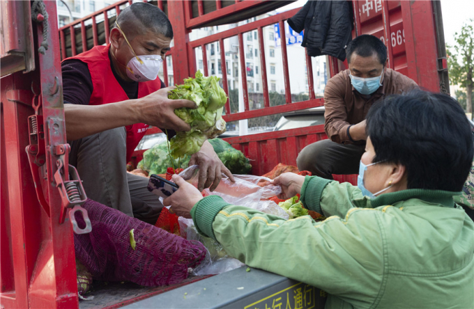 Lực lượng tình nguyện viên tỉnh Sơn Đông đóng gói rau xanh đưa lên xe tải chuyển đến tâm dịch Vũ Hán. Ảnh:  China Daily