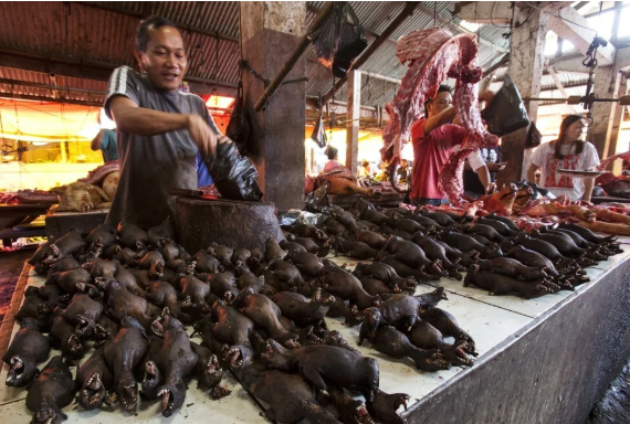Dơi hun khói bày bán công khai bên cạnh quầy hàng thịt thú rừng ở chợ truyền thống Tomohon. Ảnh: AFP