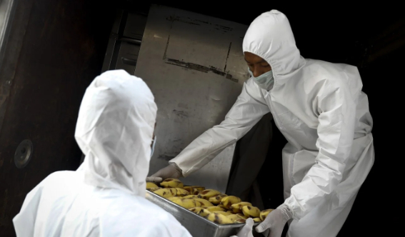 Tình nguyện viên Myanmar đưa chuối đi tiêu thụ tại các trung tâm kiểm dịch cộng đồng thời đại dịch coronavirus. Ảnh: EPA