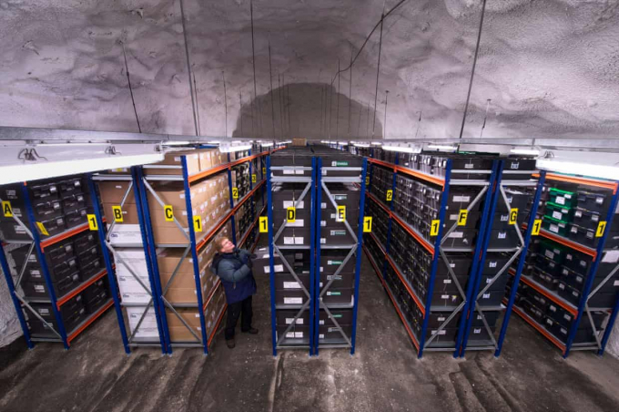 Hầm Svalbard chứa hạt giống từ 60.000 giống cây trồng ở Bắc Cực. Ảnh: Jim Richardson/Alamy