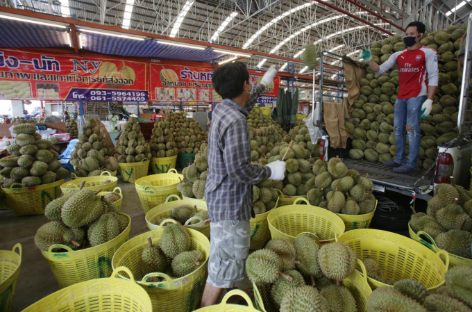 Được mùa vẫn tăng giá  Thái Lan đã làm gì với sầu riêng