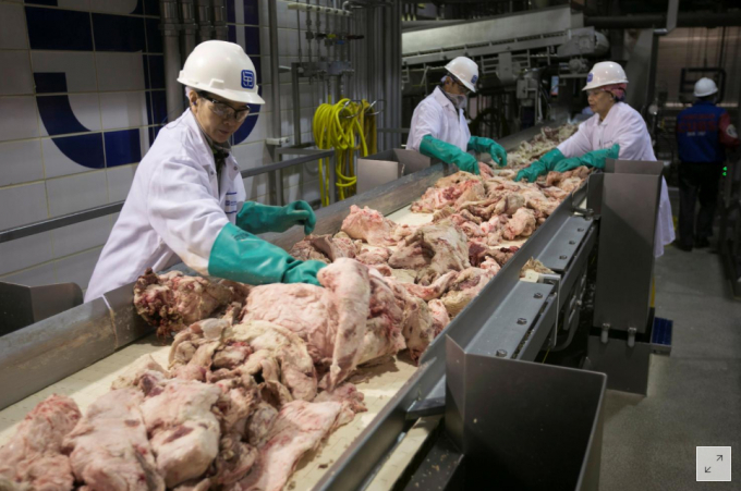Công nhân nhà máy chế biến thịt ở South Sioux City, bang Nebraska. Ảnh: Reuters