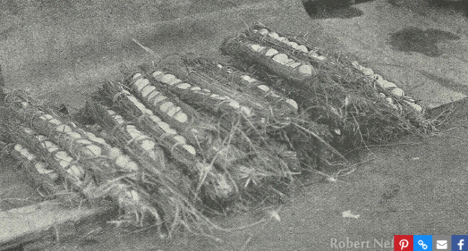 Những xâu trứng bọc rơm bày bán ở Triều Tiên hồi những năm 1900s. Ảnh: Robert Neff Collection