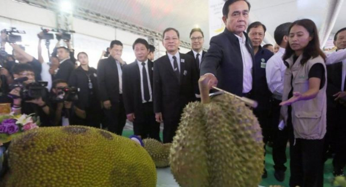 Thủ tướng Prayut Chan-o-cha tự kiểm tra sầu riêng nhân một chuyến đi thực tế ở Chanthaburi. Ảnh: BKP