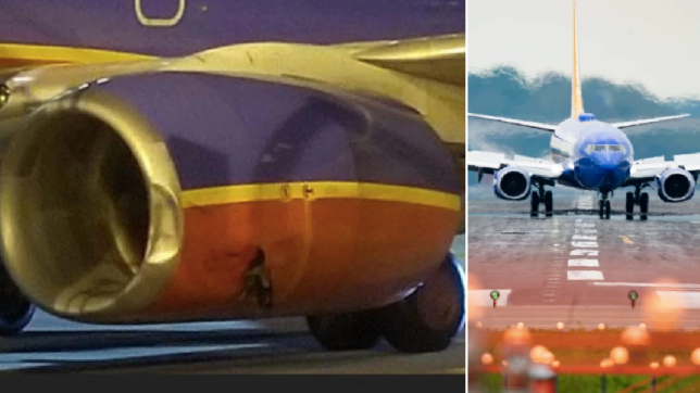 Chiếc Boeing 737 và hình ảnh cận cảnh vết lõm trên vỏ động cơ sau vụ va chạm. Ảnh: Metro