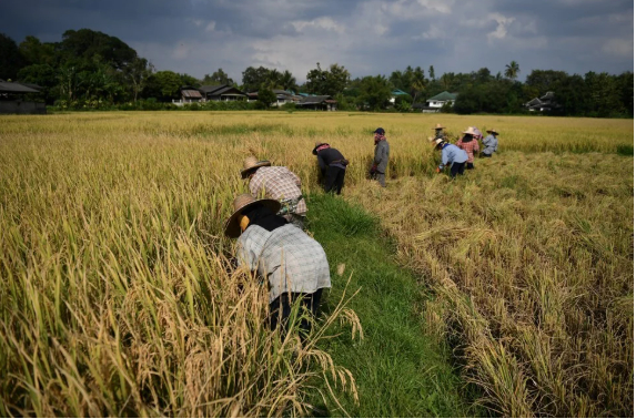 Sông Mekong tạo ra nguồn lương thực và sinh kế cho hàng chục triệu người dân ở khu vực Đông Nam Á. Ảnh: AFP