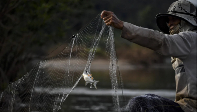 Một ngư dân Thái Lan thả lưới trên đoạn sông Mekong chảy qua nước này. Ảnh: AFP