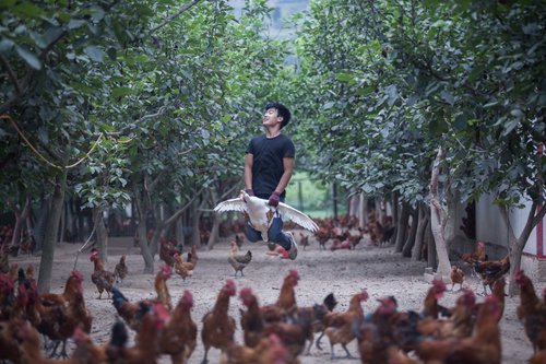 YouTuber Shang Yukang, người có tới 370.000 người theo dõi trên mạng xã hội Kuaishou quảng cáo đàn gia cầm thịt ở tỉnh Cam Túc. Ảnh: IC