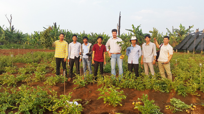 Campuchia vẫn phải nhập khẩu khoai tây từ nước ngoài. Ảnh: KhmerTimes.
