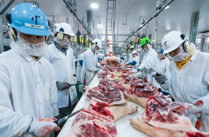 Hàng loạt cơ sở chế biến thịt ở Mỹ đang phải vật lộn để ngăn chặn sự lây lan của đại dịch Covid-19 trong lực lượng lao động. Ảnh: AP