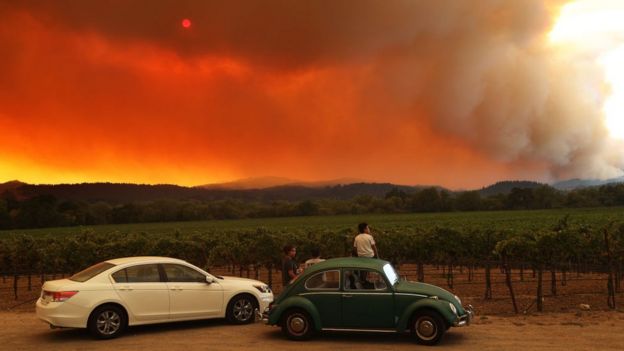 Hỏa hoạn đe dọa xóa sổ các vùng sản xuất rượu vang ở bang California. Ảnh: BBC