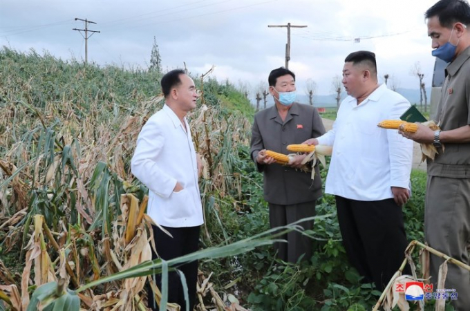 Nhà lãnh đạo Kim Jong-un đến thăm các khu vực bị ảnh hưởng bởi bão Bavi ở tỉnh Nam Hwanghae hôm 28/8. Ảnh: Yonhap