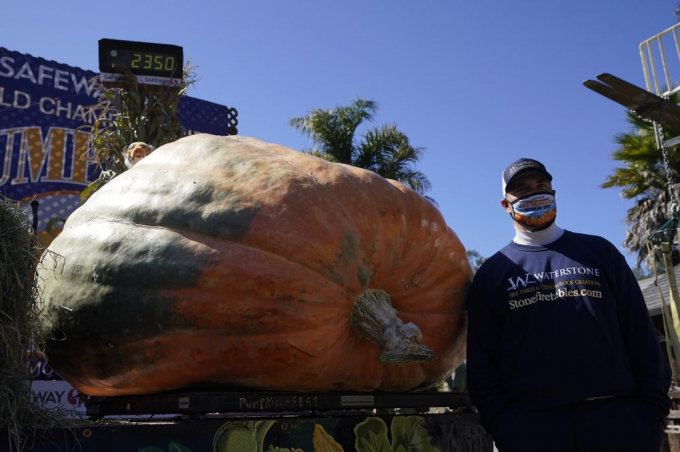 Ông Travis Gienger, chụp ảnh tạo dáng bên quả bí ngô khủng nặng 2.350 pound của mình, hôm 12/10/2020. Ảnh: AP