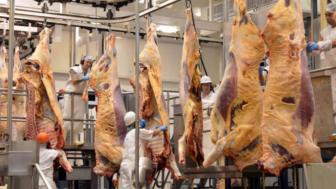 Dây chuyền giết mổ -chế biến thịt bò cấp đông xuất khẩu ở New Zealand. Ảnh: Nzherald/Jaquiery