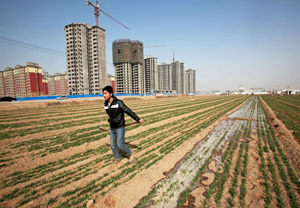 Tốc độ đô thị hóa nhanh tại nhiều địa phương đã dẫn tới xung đột với quỹ đất dành cho sản xuất nông nghiệp đảm bảo an ninh lương thực tại Trung Quốc. Ảnh: Chinadaily