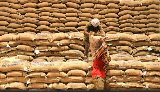 Hiện Ấn Độ là nhà sản xuất gạo số một thế giới. Ảnh: The Hindu