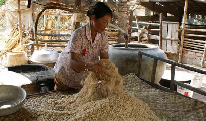 Một phụ nữ đang ủ men để chưng cất rượu gạo. Ảnh: Khmer Times
