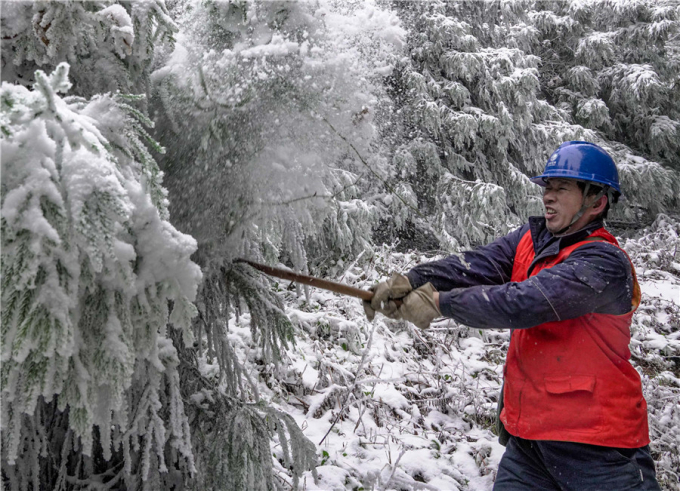 Hình ảnh một nhân viên điện lực ở Trùng Khánh phát quang cây cối dính băng tuyết hôm 7/12 trong khi đi kiểm tra mạng lưới điện ở một vùng cao để đảm bảo cung cấp điện an toàn trong khu vực. Ảnh: You Bo/China News Service