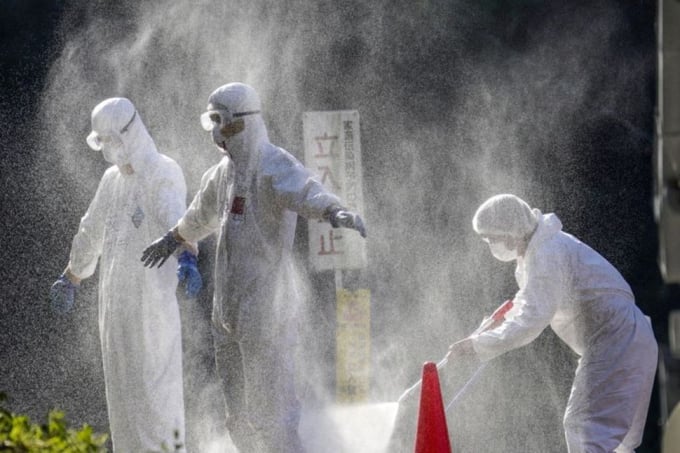 Nhân viên thú y Nhật Bản sát khuẩn sau khi tham gia tiêu hủy gia cầm bệnh ở tỉnh Mitoyo hồi tháng 11/2020. Ảnh: Reuters