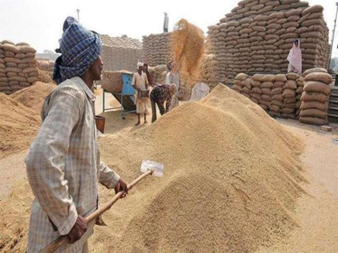 Nguồn cung lúa gạo của Ấn Độ vẫn rất dồi dào. Ảnh: India Times