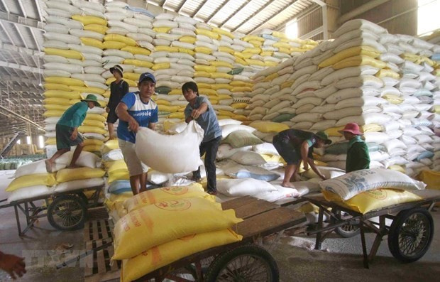 Việt Nam hiện trở thành nước xuất khẩu gạo lớn thứ hai thế giới. Ảnh: VNA