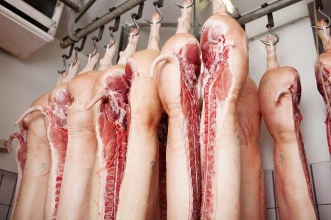 Thị trường thịt lợn thế giới được dự báo sẽ căng thẳng dịp nửa cuối năm nay. Ảnh: Pigsite
