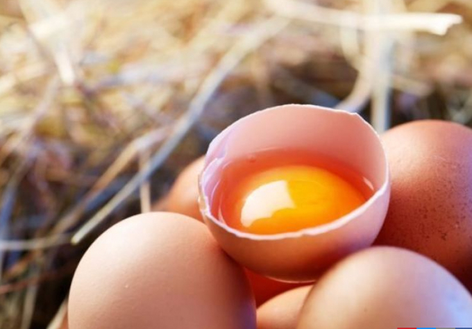 Giá trứng ở Hàn Quốc đã tăng 27% trong năm nay, trong bối cảnh nguồn cung thiếu hụt do dịch cúm gia cầm bùng phát. Ảnh: Gettyimagesbank