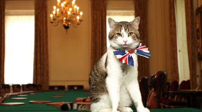 Con mèo Larry đeo lơ hình quốc kỳ Anh ở bên trong Số 10 Phố Downing. Ảnh: FPJ