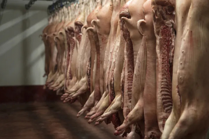 Giá thịt lợn tại Trung Quốc đã tăng 6,1% trong giai đoạn từ tháng 12/2020 đến tháng 1/2021, đạt mức 45,62 nhân dân tệ/kg, tương đương 7,10 USD/kg do cầu vượt cung. Ảnh: The Pigsite