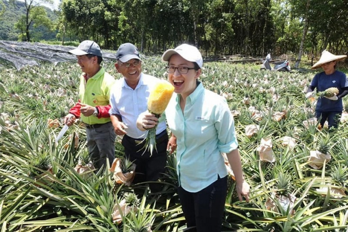 Chiến dịch 'giải cứu dứa' cho nông dân Đài Loan được mô tả là thành công mỹ mãn. Ảnh: TWN