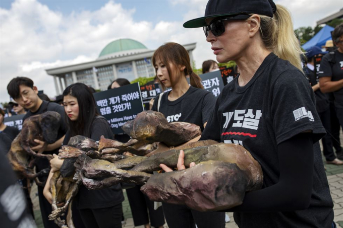 Nữ diễn viên Hollywood Kim Basinger trong đoàn người biểu tình phản đối ăn thịt chó trước trụ sở Quốc hội ở thủ đô Seoul tháng 7 năm 2019. Ảnh: KRT